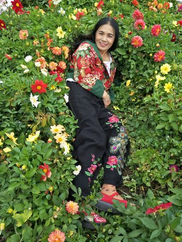 高清🈚码🔞❌♋免91